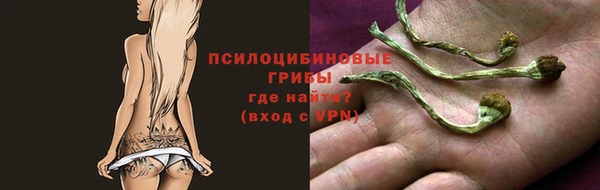 СК Алексеевка