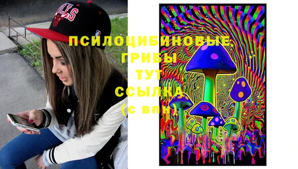 mdpv Алексин
