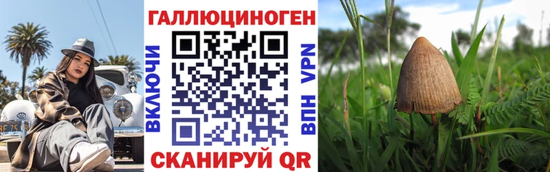 Галлюциногенные грибы Psilocybine cubensis  Самара 