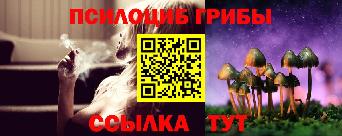 Псилоцибиновые грибы Psilocybine cubensis  Вход с VPN  Самара 